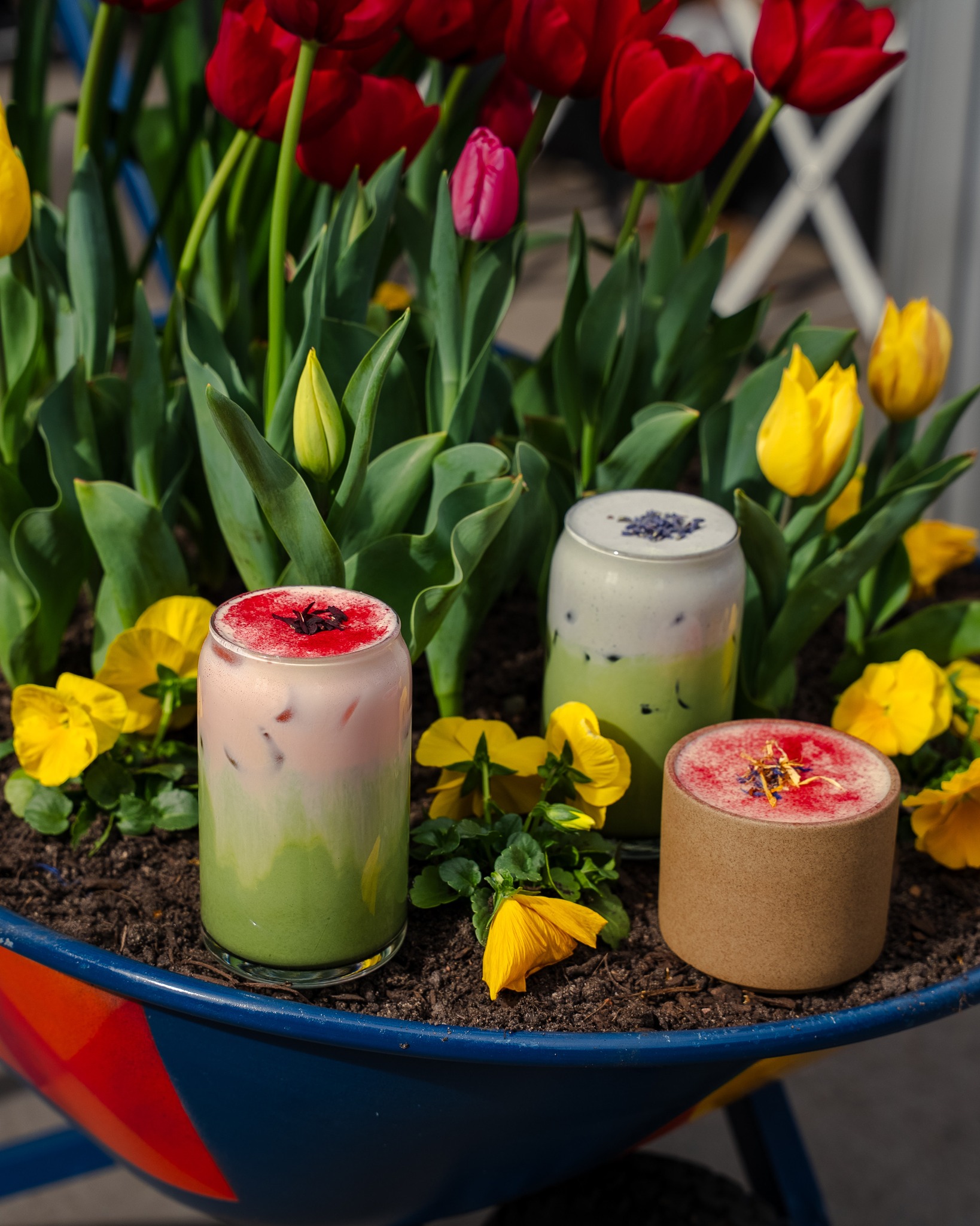 Three decorative drinks placed among a garden bed of yellow and red tulips, with colourful flower blooms surrounding the glasses.