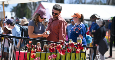 Two people stand at a market stall looking at jars of food products, with red tulips in the foreground and a crowd of visitors in the background.