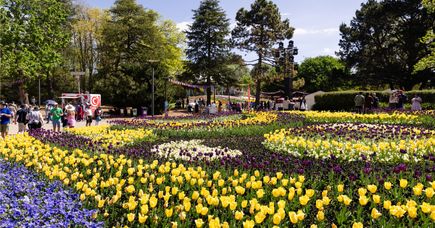Curving garden beds filled with yellow, purple and white flowers, with visitors walking along pathways and trees and stalls in the background.