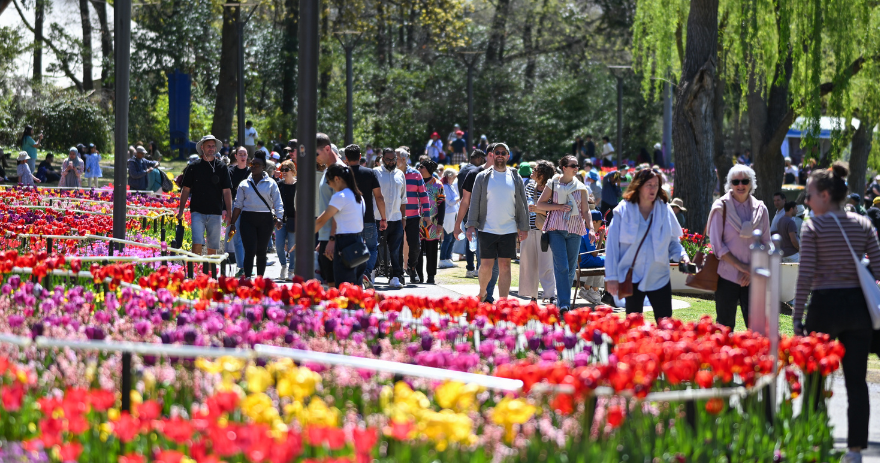 Crowds of visitors walk along a wide garden path bordered by colourful tulip beds in red, pink and yellow, with trees and parkland in the background.