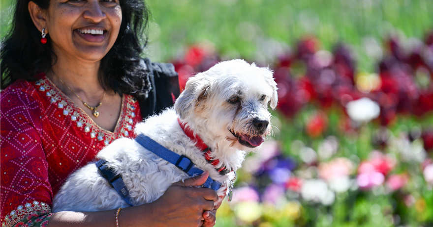 Small dog is held in front of vivid flower displays in a garden setting.