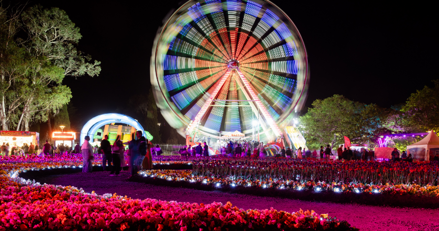 Large ferris wheel glowing with coloured lights above curved garden beds filled with illuminated flowers and visitors walking nearby.
