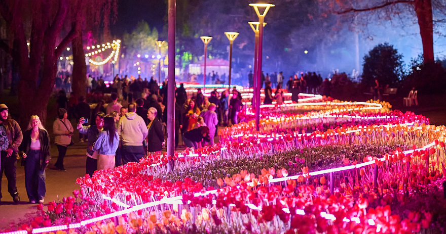 Visitors walk along a path beside illuminated flower beds outlined with light, with trees lit in purple and pink throughout the park.