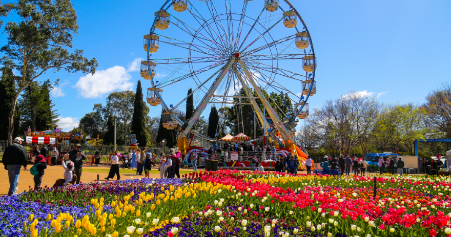 Large ferris wheel above colourful tulip beds, with visitors walking through the gardens and rides in the background on a sunny day.
