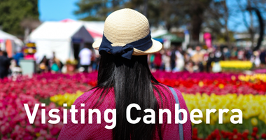 Visiting Canberra, visitor standing among colourful tulip beds looking toward festival tents at Floriade.