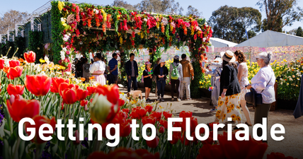 Getting to Floriade, visitors walking through a garden entrance framed with colourful flowers and tulip beds.