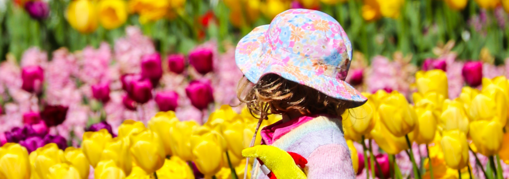 A young child wearing a patterned sun hat walks among bright pink and yellow tulips in a flower garden.