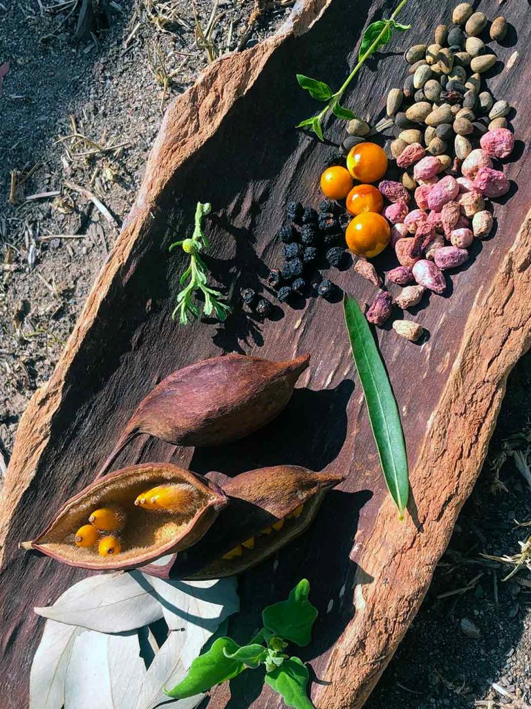 Australian native vegetables, flowers, and seeds are arranged on a coolamon.
