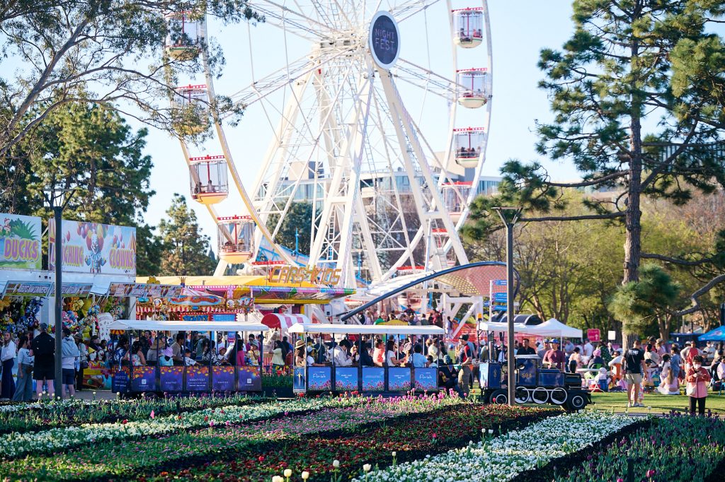 A small trackless train filled with passengers travels past patterned flower beds at a vibrant outdoor festival. Behind the train, crowds gather among carnival attractions, including game stalls and a large white Ferris wheel with enclosed gondolas. Tall trees frame the scene, and the area is brightly lit by daylight.