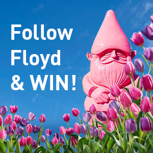 Follow Floyd & Win artwork with Floyd in Tulip garden