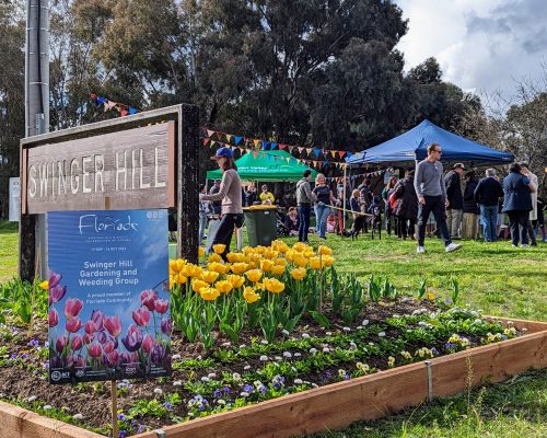 Flower bed with bright yellow tulips and mixed spring plants in the foreground, beside a wooden sign reading “Swinger Hill” and a Floriade information board, with a crowd of visitors gathered under tents and bunting in a park setting behind.
