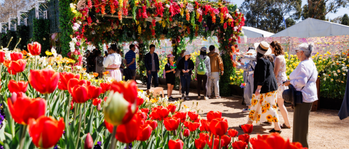 Visitors walk through a garden entrance framed by flowers with large tulip beds in the foreground.