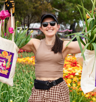 Person wearing gloves holds two large bags filled with flowering plants while standing in a vibrant tulip garden.