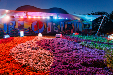 Colourful flower beds arranged in patterned rows in front of a large “FLOREADE” sign, lit with multicoloured lights at night.