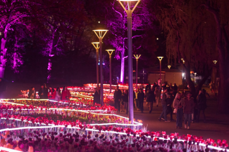 Visitors walk along a path beside illuminated flower beds outlined with light, with trees lit in purple and pink throughout the park.