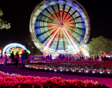Large ferris wheel glowing with coloured lights above curved garden beds filled with illuminated flowers and visitors walking nearby.