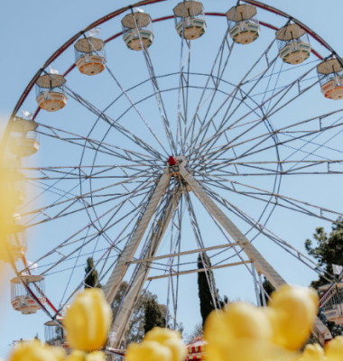 Large ferris wheel rising above yellow tulips in the foreground, set against a clear blue sky.