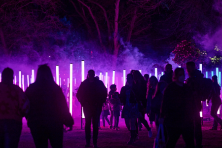 Visitors walk among glowing purple light installations in a garden at night.