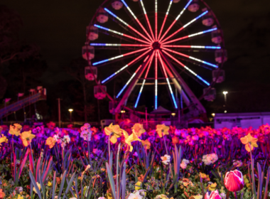 A ferris wheel glows with colourful lights above a field of illuminated flowers during a NightFest