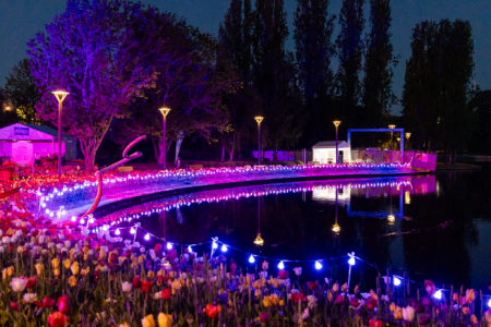 Colourful lights reflect across a lake bordered by illuminated flower beds and trees after dark.