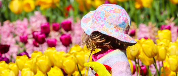 A young child wearing a patterned sun hat walks among bright pink and yellow tulips in a flower garden.