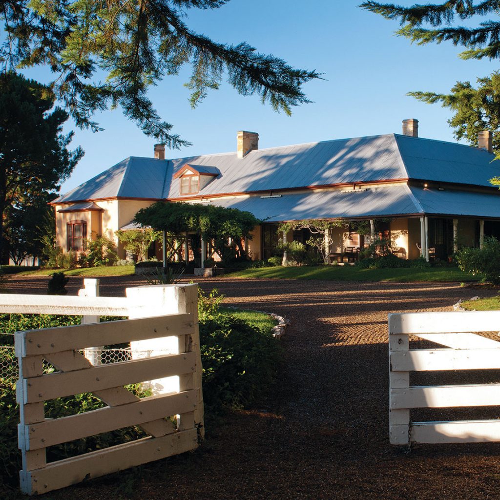 A large traditional homestead sits at the end of a gravel driveway, framed by open white gates and mature trees. Late afternoon sunlight casts long shadows across the property.
