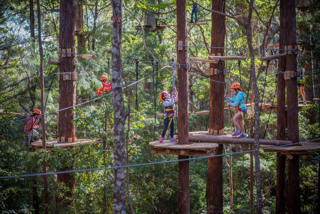 People wearing helmets and safety harnesses navigate an elevated ropes course among tall trees, crossing platforms and suspended obstacles in a forest setting.
