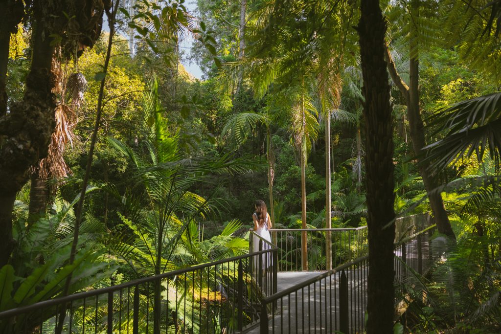 An elevated walkway winds through a dense tropical garden filled with palms, ferns and towering trees. A visitor stands on a viewing platform surrounded by lush green vegetation.
