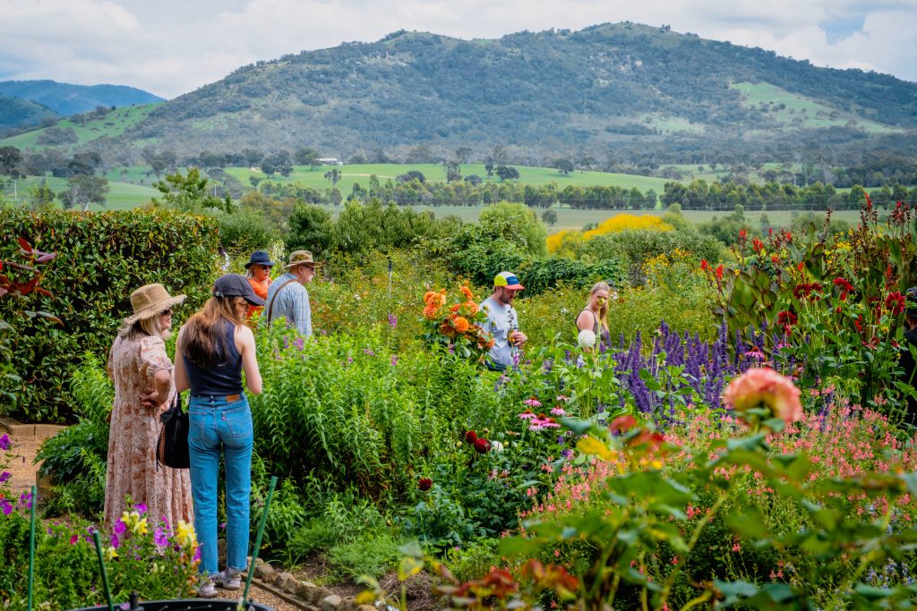Visitors walk through a colourful flower garden filled with blooming plants and flowers, with rolling green hills and mountains in the background.
