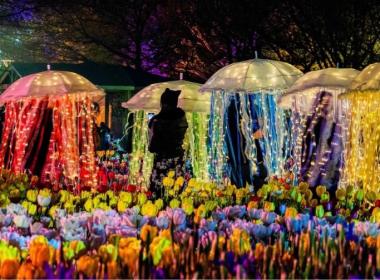 Illuminated jellyfish-style light installations among colourful tulip beds during a night event at Floriade.
