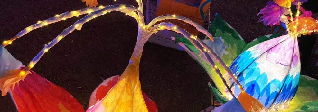 Illuminated lantern sculptures shaped like flowers, decorated with colourful paper and string lights at a night event.